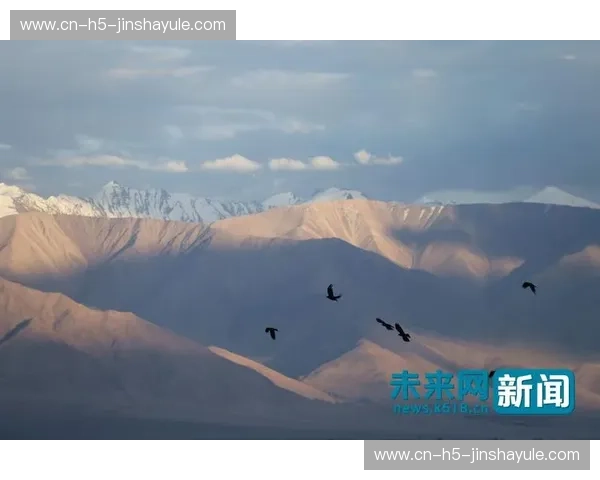 中北美之魂碰撞高原雄鹰：洪都拉斯与厄瓜多尔的拉美狂想曲